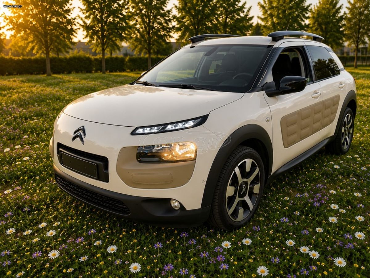 CITROEN C4 CACTUS 2017