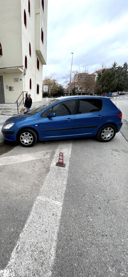 PEUGEOT 307 2004