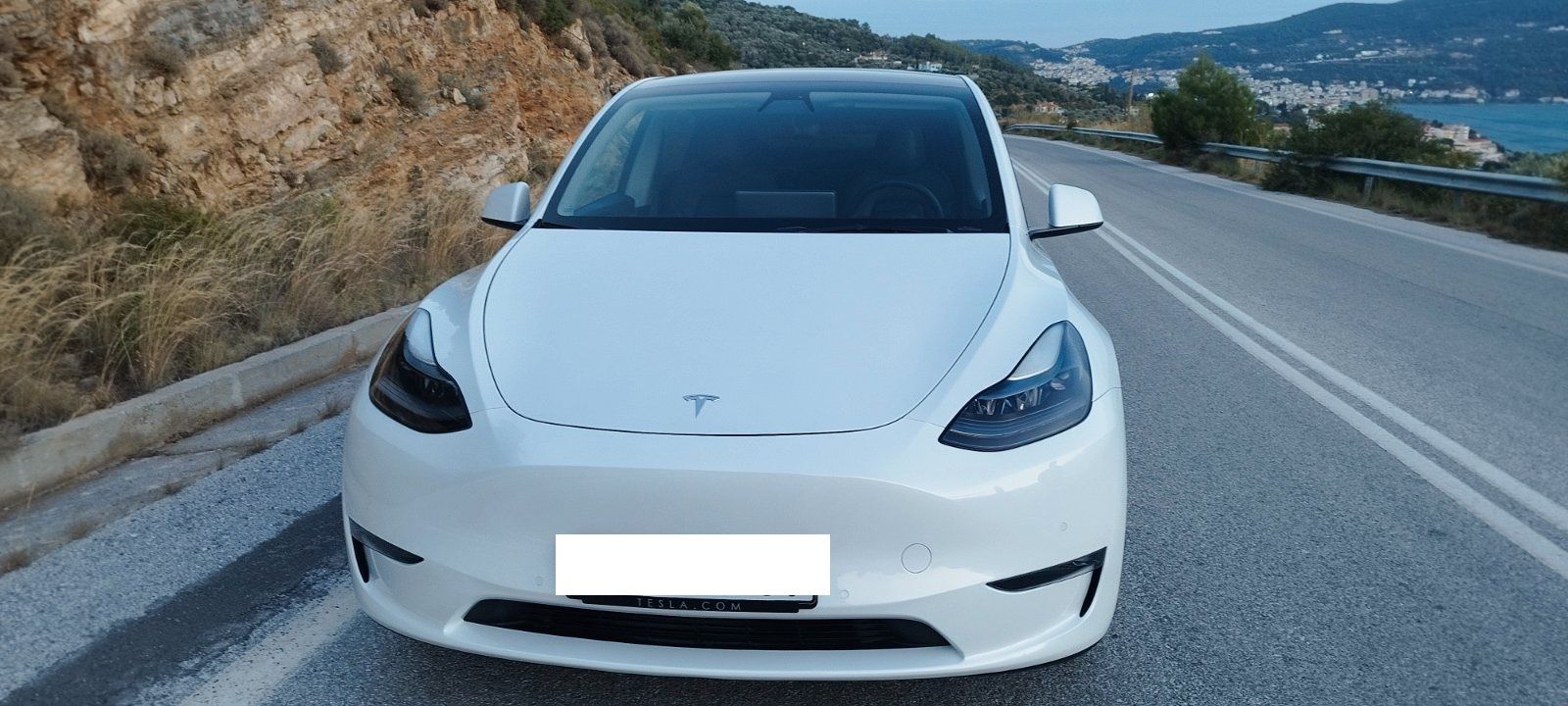 TESLA  2021